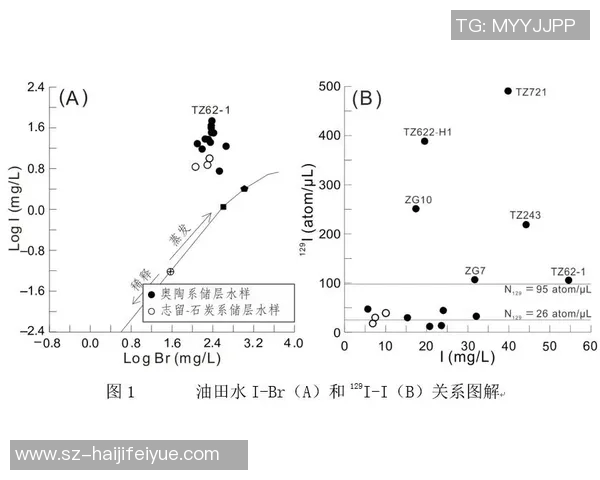 广州飞盘队意识对比深度解析与战术演变探讨