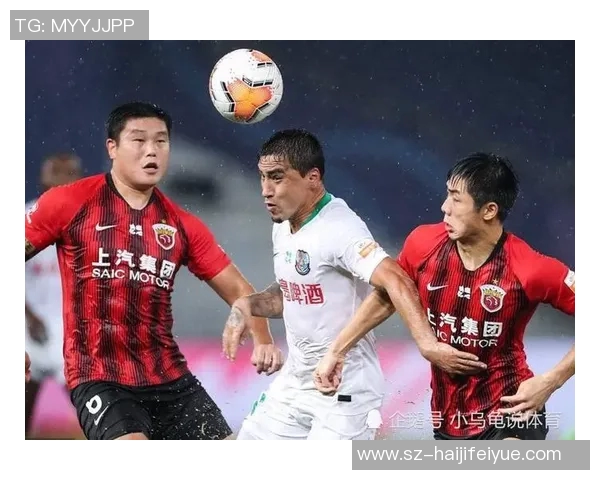 上海羽毛球队以89分稳居锦标赛积分榜首位展现强劲实力