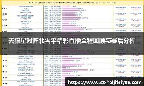 天狼星对阵北雪平精彩直播全程回顾与赛后分析