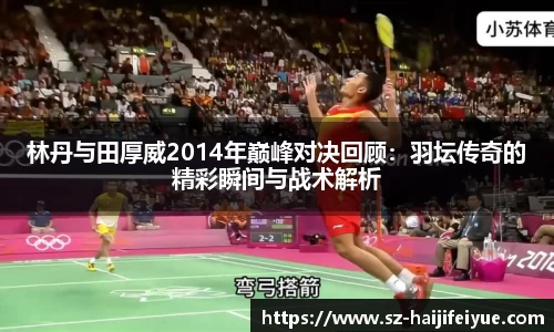 林丹与田厚威2014年巅峰对决回顾：羽坛传奇的精彩瞬间与战术解析