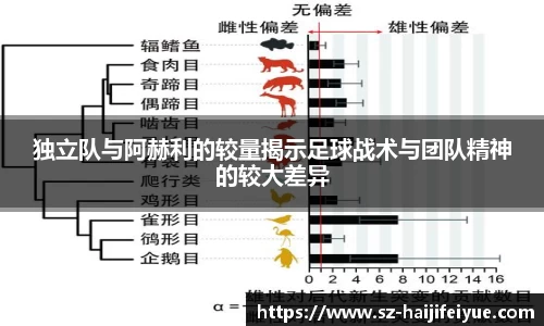 独立队与阿赫利的较量揭示足球战术与团队精神的较大差异