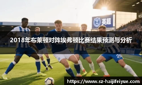 2018年布莱顿对阵埃弗顿比赛结果预测与分析